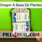 Dragon À Base De Plantes kamagra1